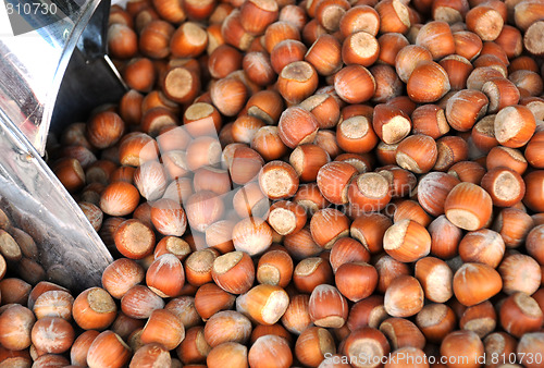 Image of Hazelnuts and Scoop on the Market