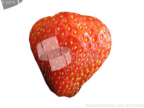 Image of STRAWBERRY