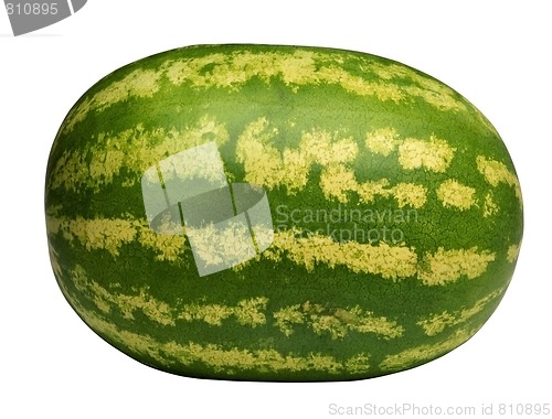 Image of Water-melon 2