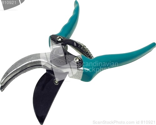 Image of Scissors