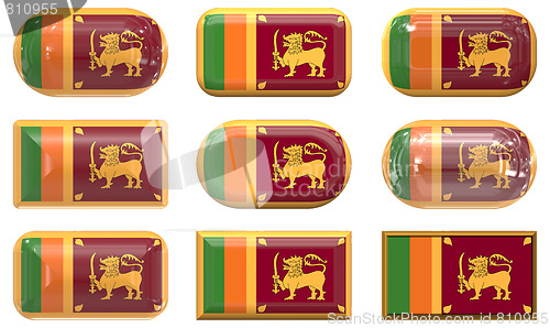 Image of nine glass buttons of the Flag of Sri Lanka