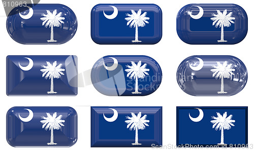 Image of nine glass buttons of the Flag of South Carolina