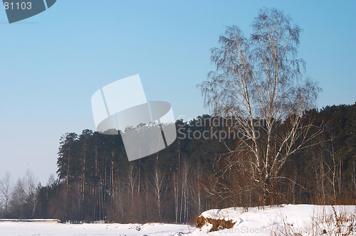 Image of Winter landscape