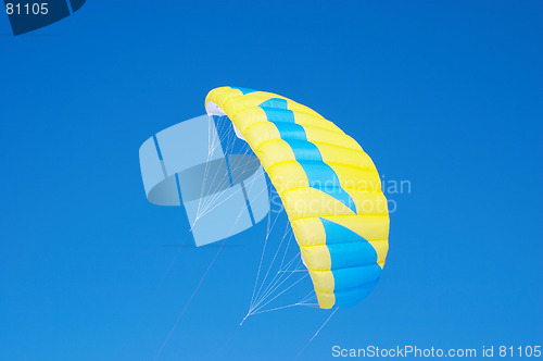 Image of Kite