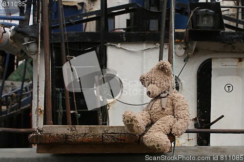 Image of Teddy Bear Sailor