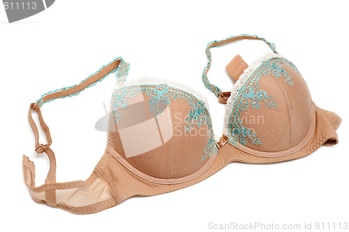 Image of Beige bra with blue embroidery