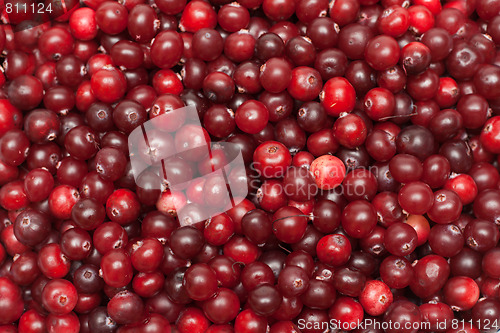 Image of Cranberries put by background