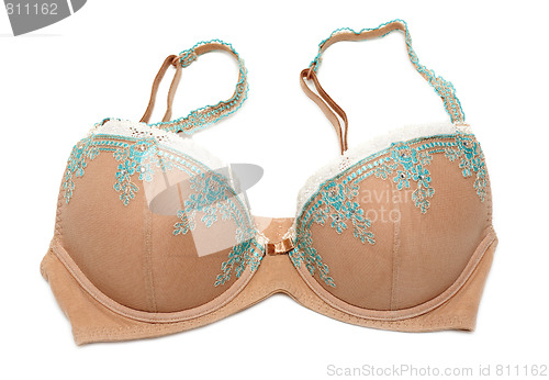 Image of Beige bra with blue embroidery