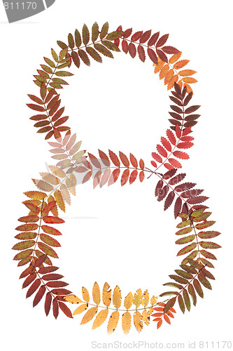 Image of Numeral eight 8 put from autumn sheet