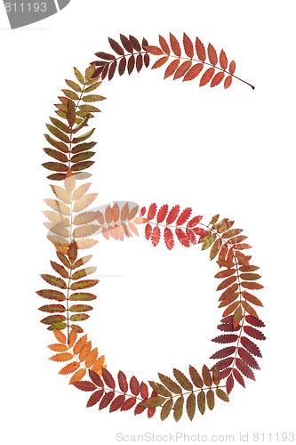 Image of Numeral six 6 put from autumn sheet