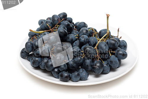 Image of Grape