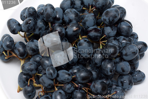 Image of Grape