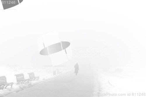 Image of Foggy winter park