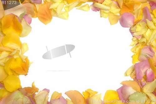 Image of Rose petals