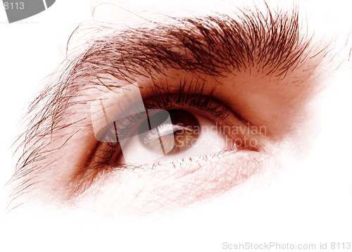 Image of The eye-digital interpretation