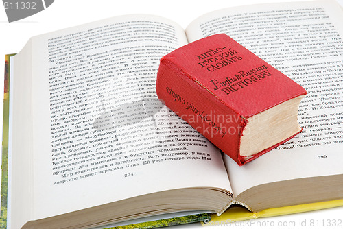 Image of Small dictionary