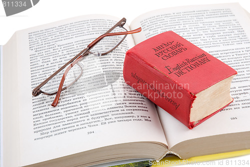 Image of Small dictionary