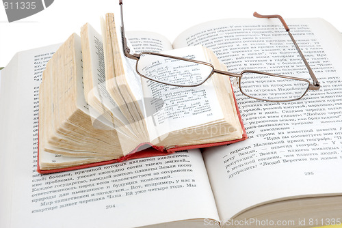 Image of Small dictionary