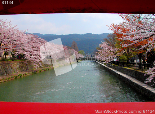 Image of Spring Canal