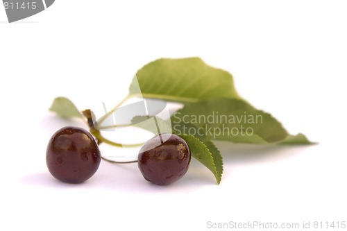 Image of Cherries
