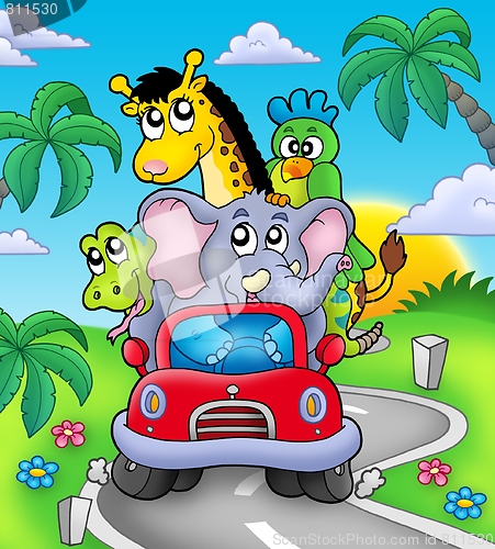 Image of African animals in car on road