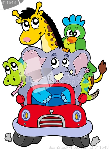 Image of African animals in red car