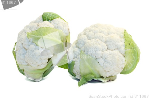 Image of Cauliflower