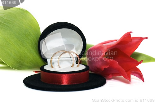 Image of Wedding rings in a casket with a red tulip