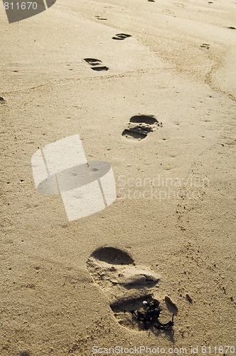 Image of Trace of the person on sand