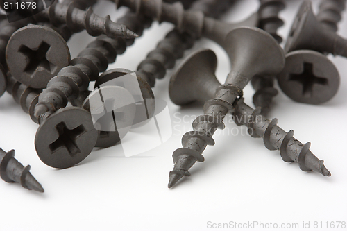 Image of Wood screws on white surface