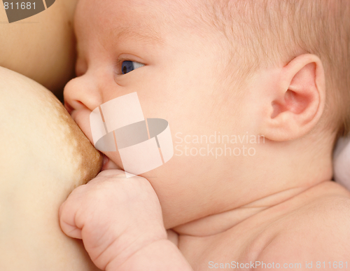 Image of Newborn sucks mother's breast, breastfeeding