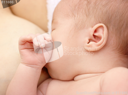 Image of Newborn sucks mother's breast, breastfeeding