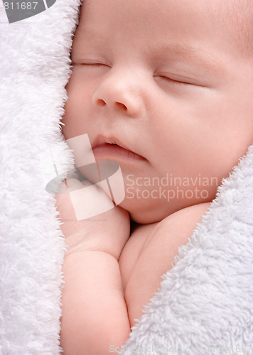 Image of Cute newborn sleeps wrapped in white blanket