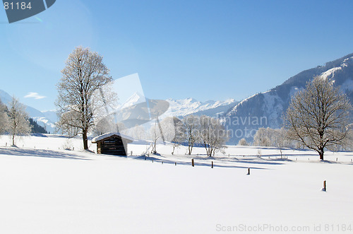 Image of Snowfield