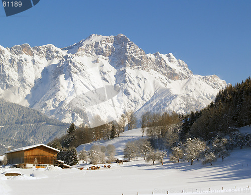 Image of Farm in winter