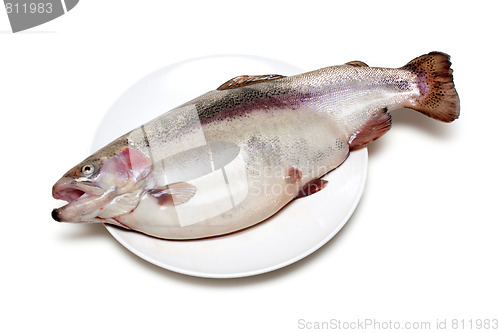 Image of Fish trout on plate