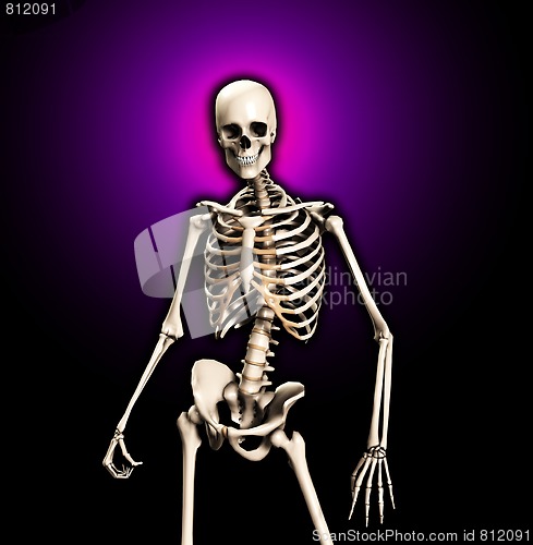 Image of Standing Skeleton 