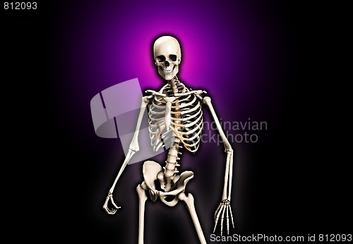 Image of Standing Skeleton 