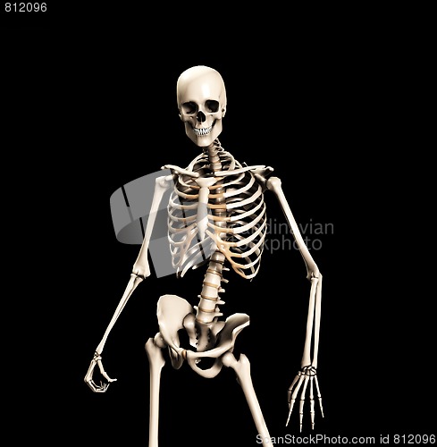 Image of Standing Skeleton 