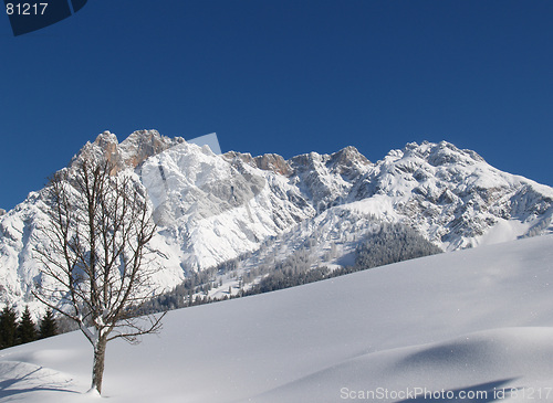 Image of Snowmountains