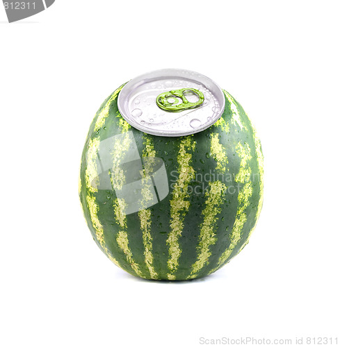 Image of aluminium watermelon