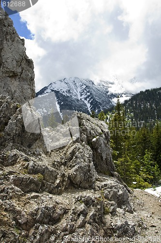 Image of Mountains spring