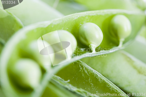 Image of vegetal peas