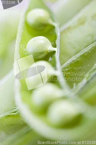 Image of vegetal peas