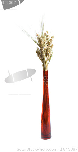 Image of decortaion vase wheat