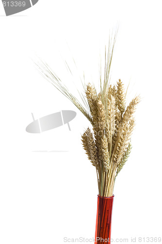 Image of decortaion vase wheat