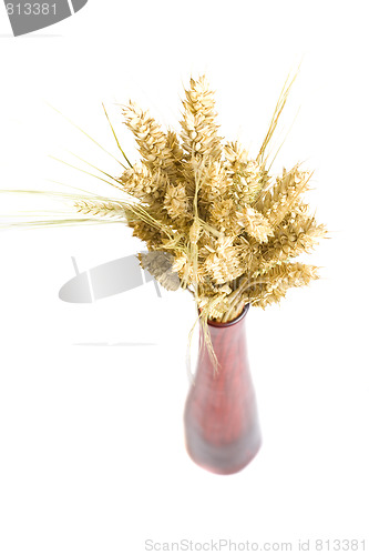 Image of decortaion vase wheat