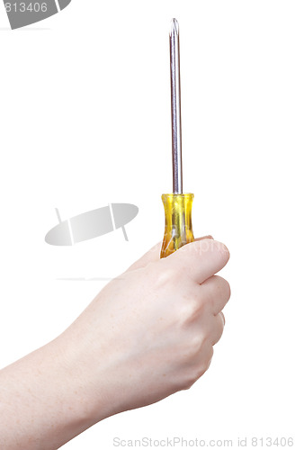 Image of isolated screwdriver