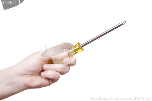 Image of isolated screwdriver