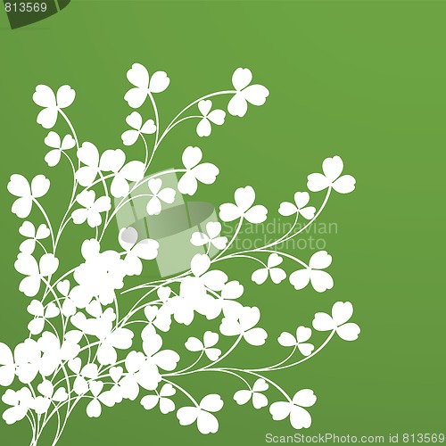 Image of Clover foliage